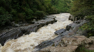 Rio Magdalena Kolumbien