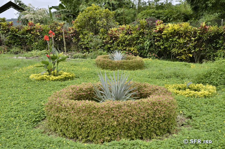 Extractora Garten, Ecuador