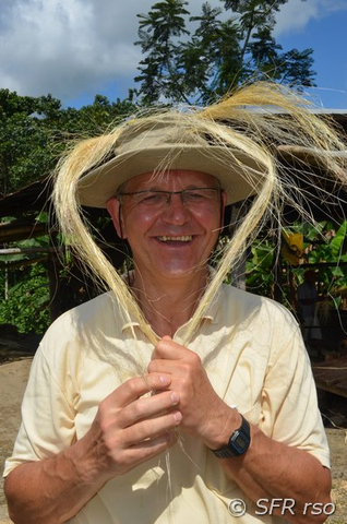 Faser von der Abaca-Pflanze in Ecuador