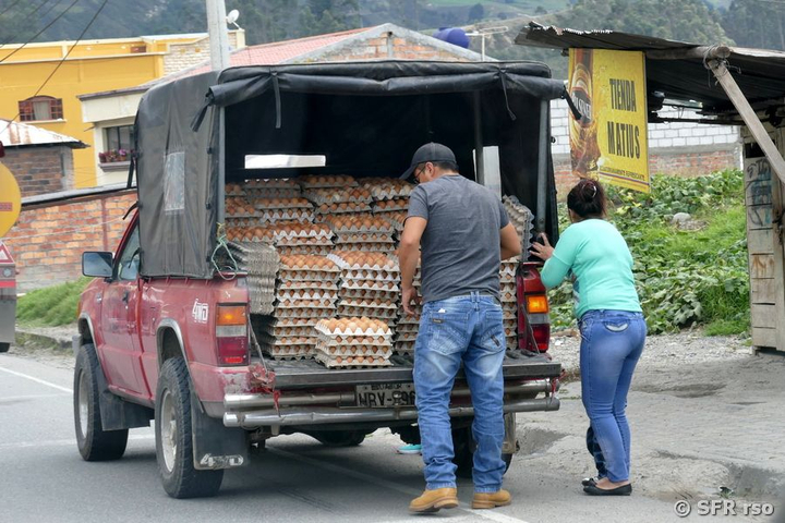 Markt am Wegesrand, Ecuador