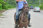 Ecuadorianischer Reiter mit Eimer in Ecuador 