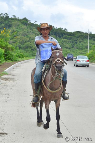 Ecuadorianischer Reiter mit Eimer in Ecuador 