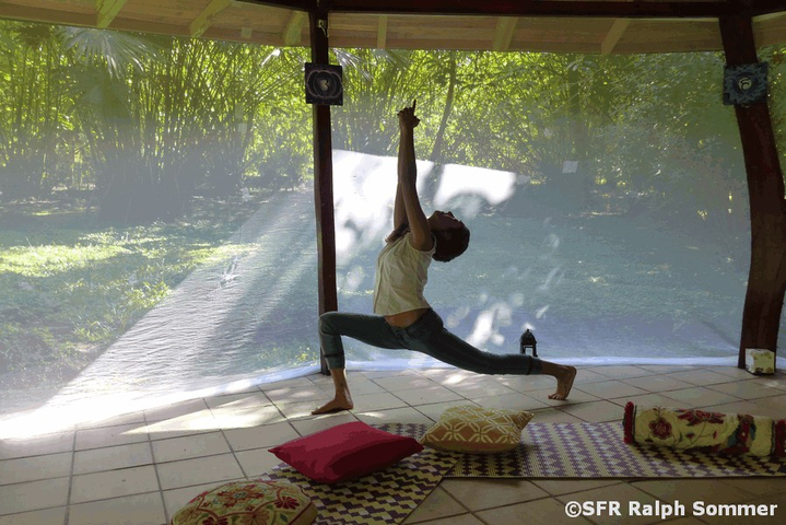Yoga in Mindo: El abrazo del arbol in Ecuador