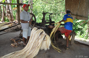 Abaca ausgepresste Fasern in Ecuador