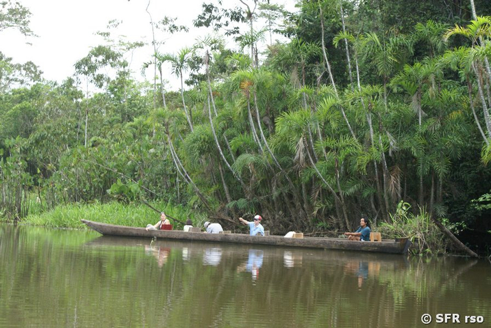 Holz Kanu mit Aussenborder in Ecuadors Urwaldgebiet 