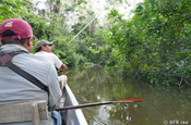 Río Napo Urwaldbeobachtung aus Lagune, Ecuador