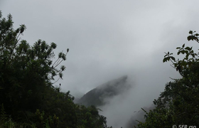 Bergnebel Reservat Yanacocha Ecuador
