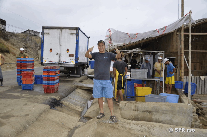 Fischkäufer, Ecuador
