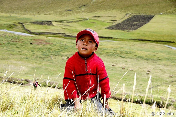 Junge hütet Schafe, Ecuador