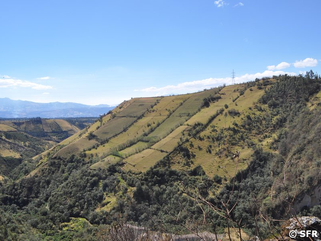 Landschaft beim Pasochoa