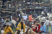 Akteure bei Stierkampf in Sangolqui in Ecuador
