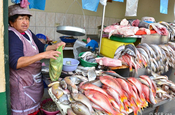 Fischabteilung auf Markt in Gualaceo, Ecuador