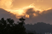 Sonnenaufgang im Bergnebelwald, Ecuador