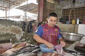 Fischmarkt La Concordia in Ecuador
