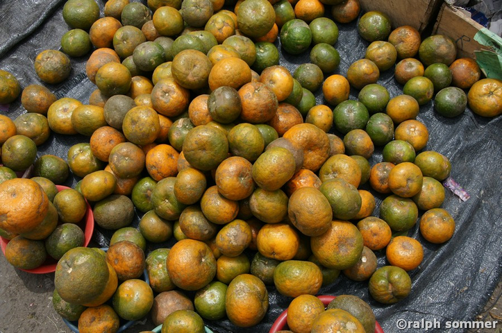 Mandarinen aus Ecuador