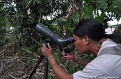 Vogelbeobachtung in Ecuador