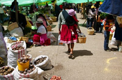 Kartoffelmarkt in den Anden, Ecuador