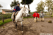 Pferd und Reiter auf einem Reitplatz in Ecuador
