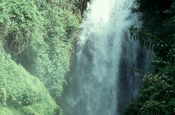 Wasserfall Peguche in Ecuador