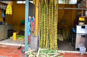 Zuckerrohr Stand in Banos de Agua, Ecuador
