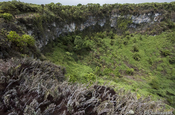Los Gemelos Krater im Hochland von Santa Cruz, Galapagos