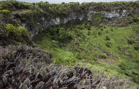 Los Gemelos Krater im Hochland von Santa Cruz, Galapagos