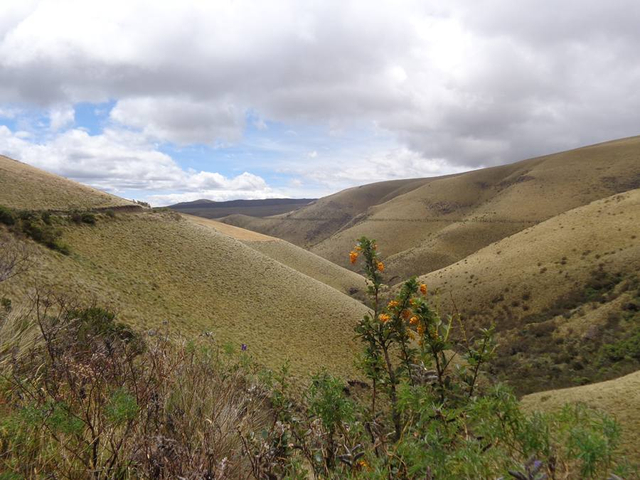 Nationalpark Antisana