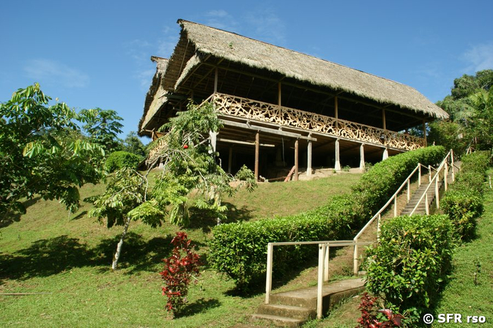 Treppenaufgang Yarina Lodge Ecuador