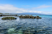 Elizabeth Bay, Galapagos
