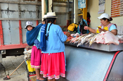 Fischstand in Ecuador