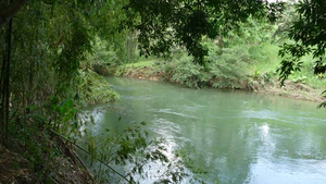 Rio Salazar Fluß in Ecuador bei den Cabañas Naturalandia