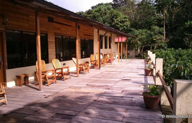 Terrasse Wildsumaco Lodge