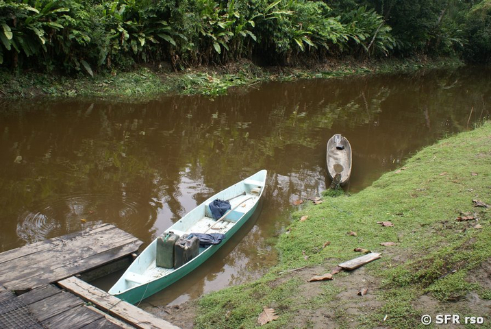 Anlegestelle für Kanus im Yasuni Nationalpark in Ecuador 