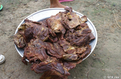 Tapirfleisch gewildert in Ecuador