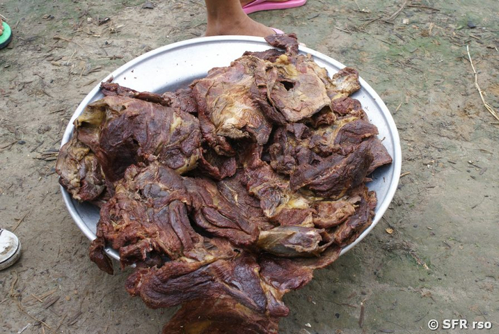 Tapirfleisch gewildert in Ecuador