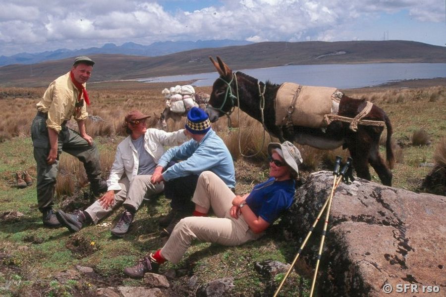 Trekking auf dem Inkatrail mit Packesel in Ecuador