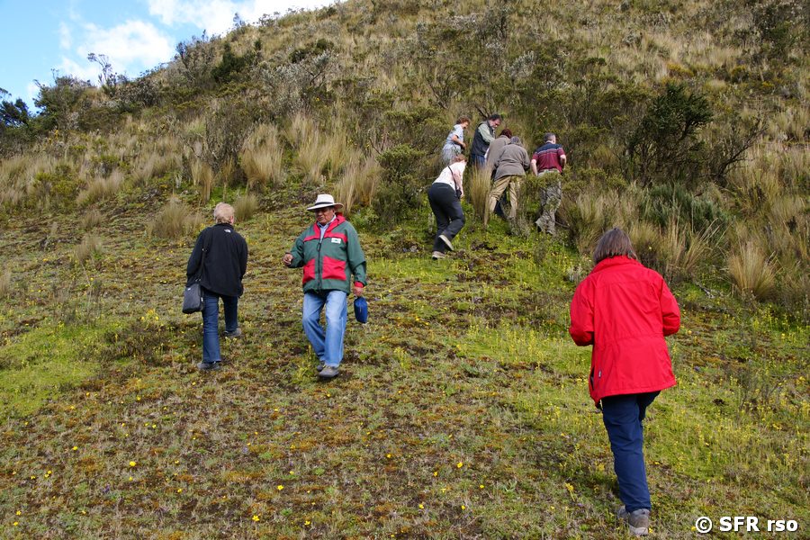 Wandern und Trekking auf dem Páramo in Ecuador