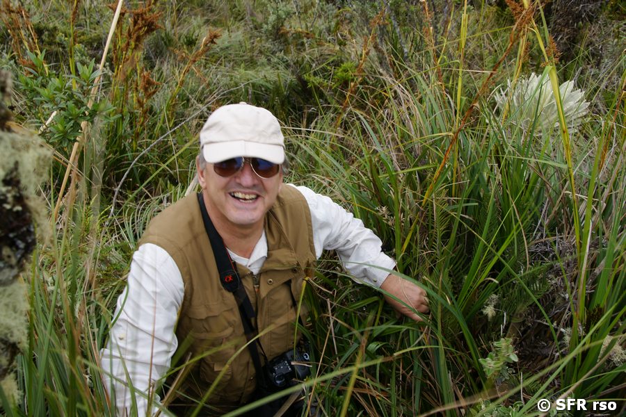 Wanderer in Ecuador