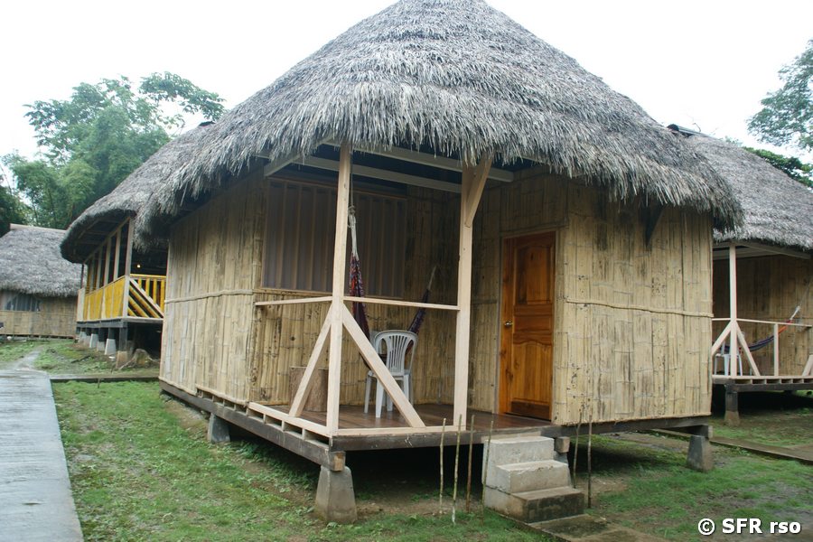 Bungalow Dolphin Lodge Ecuador
