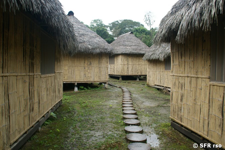 Bungalows Dolphin Lodge Ecuador