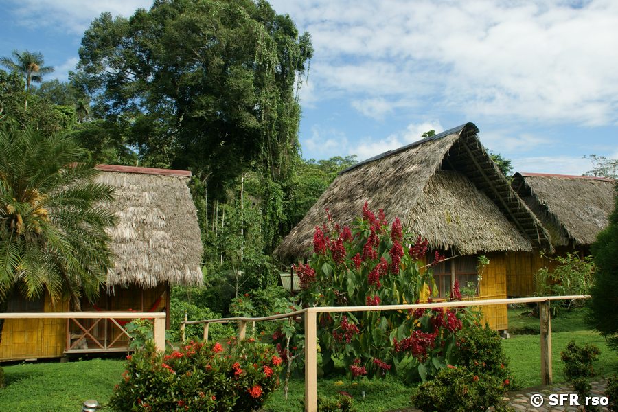 Dolphin Lodge Ecuador
