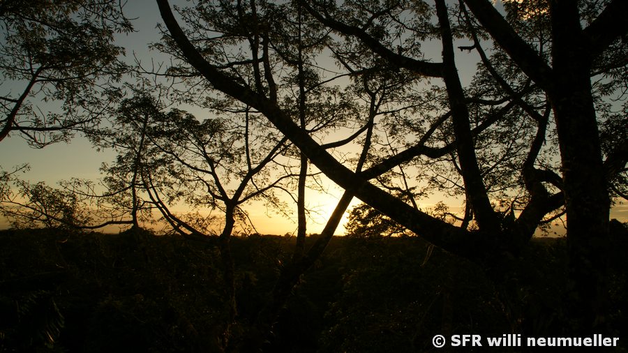La Selva Lodge Sonnenuntergang