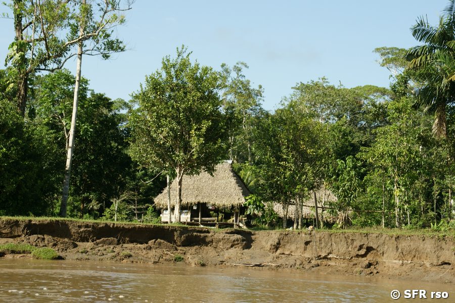 Indigene Hütte am Río Napo in Ecuador