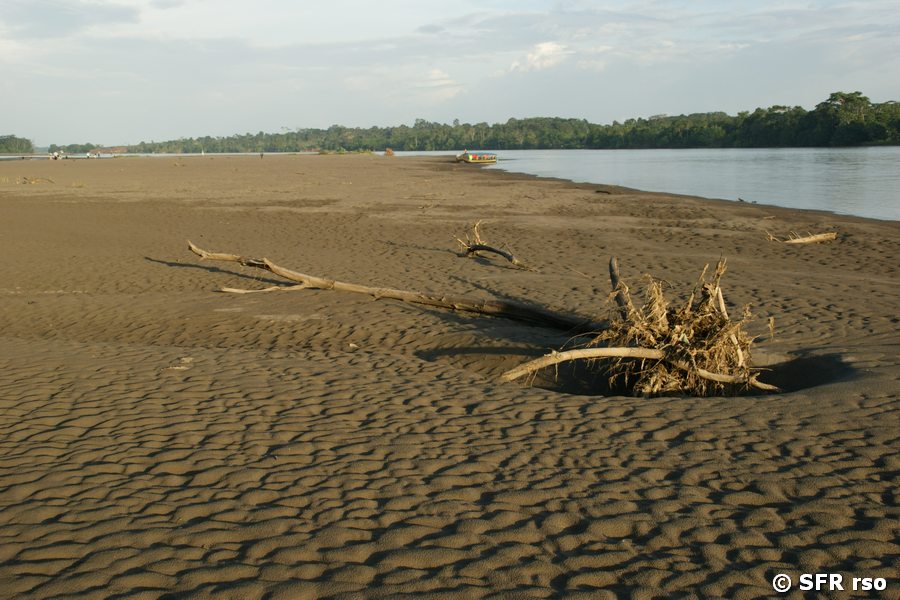 Sandstrand Río Napo in Ecuador