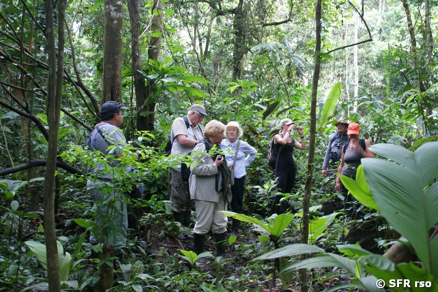 Urwalderkundung Teilnehmer in Ecuador