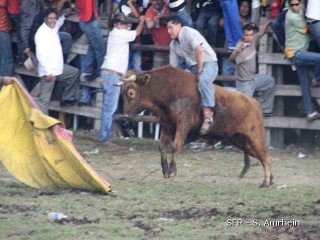 Bullriding in Sangolqui in Ecuador