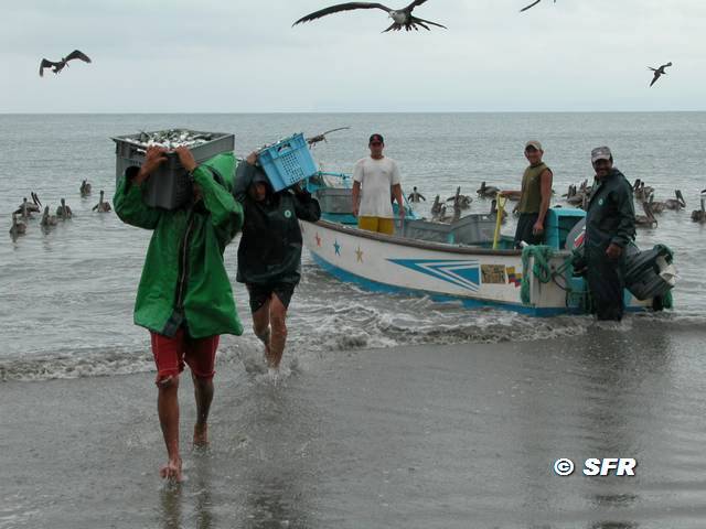 Fischer am Pazifik in El Matal in Ecuador