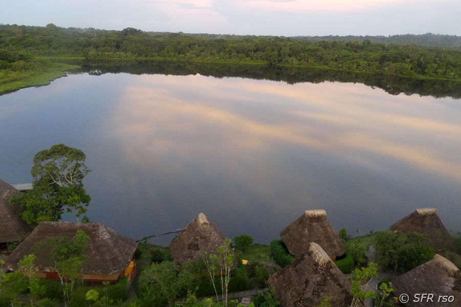 Blick vom Napo Wildlife Center am Abend, Ecuador