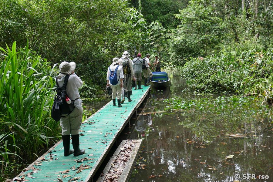 Bootssteg an Lagune, Ecuador