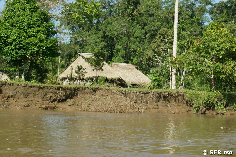 Indigene Hütte am Río Napo, Ecuador